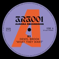 Denyl Brook - What They Want