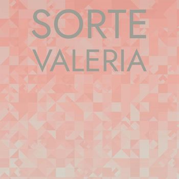 Various Artists - Sorte Valeria