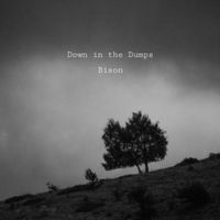 Bison - down in the dumps