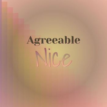 Various Artists - Agreeable Nice