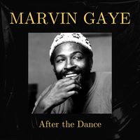 Marvin Gaye - After The Dance