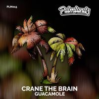 crane the brain - Guacamole (Extended Mix)