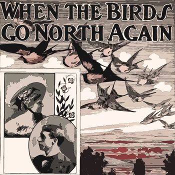 Billy Vaughn - When The Birds Go North again
