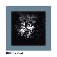 Nightfall - sea whip (ocean)