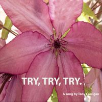 Tony Corrigan - Try, Try, Try.