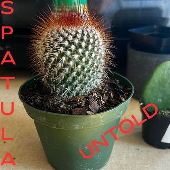 Spatula - Untold (Explicit)