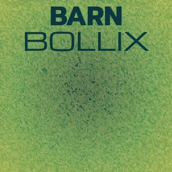 Various Artists - Barn Bollix
