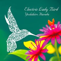 Yoshihiro Harada - Electric Lady Bird