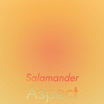 Various Artists - Salamander Aspect