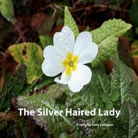 Tony Corrigan - The Silver Haired Lady