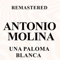 Antonio Molina - Una paloma blanca (Remastered)