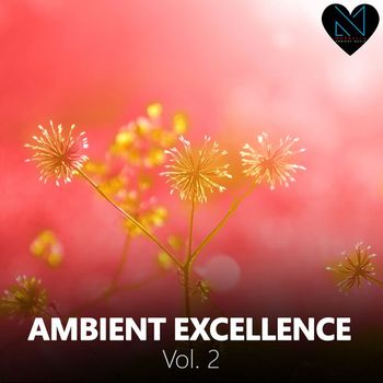 Various Artists - Ambient Excellence, Vol. 2
