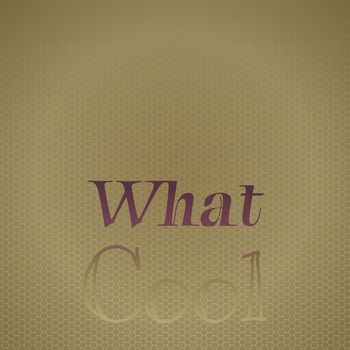 Various Artists - What Cool