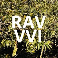 Rav - VVI
