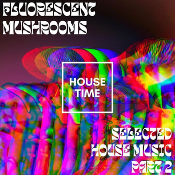 Various Artists - Fluorescent Mushrooms, Pt. 2 (Selected House Music)