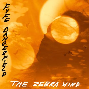 Fyfe Dangerfield - The Zebra Wind