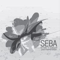 Seba - Secret Operations Reissue Vol4