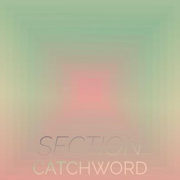 Various Artists - Section Catchword