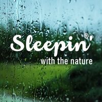 Sleepin' with the Nature - Relaxing Sound of Rain and Wind in Forest (Vol 02)
