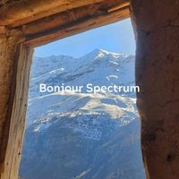 Robert John - Bonjour Spectrum