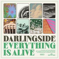 Darlingside - All The Lights In The City