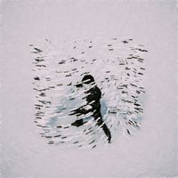 ROHO - Pitch Bent