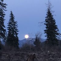 Last August - August Moonrise