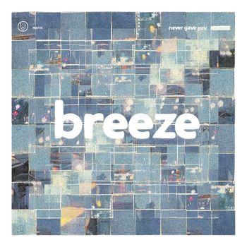 Breeze - Never Gave You