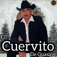 El Cuervito De Guasave - En Vivo Con Guitarras y Tuba