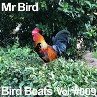 Mr Bird - Bird Beats #009