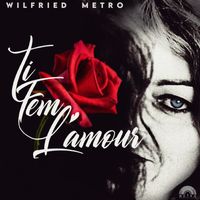 Wilfried Metro - Ti fem l'amour