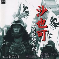 The Beat - Sayaka Mukugesakuoka Korean version