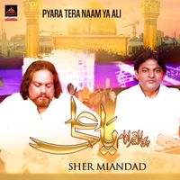 Sher Miandad - Pyara Tera Naam Ya Ali
