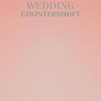 Various Artists - Wedding Countershaft