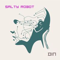 din - Salty Robot