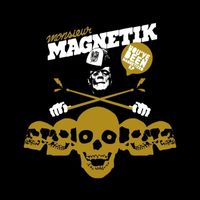 Mr. Magnetik - You've Been Magnetized