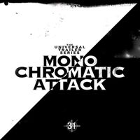 Steve Everitt - Monochromatic Attack