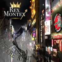 Rex Montex - The Skater of the Night