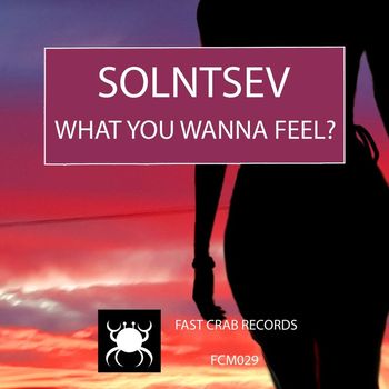 Solntsev - What You Wanna Feel?