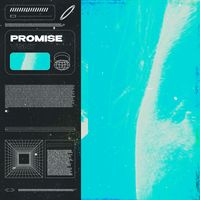 VSN7 - Promise