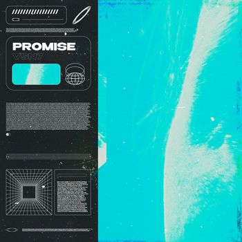 VSN7 - Promise