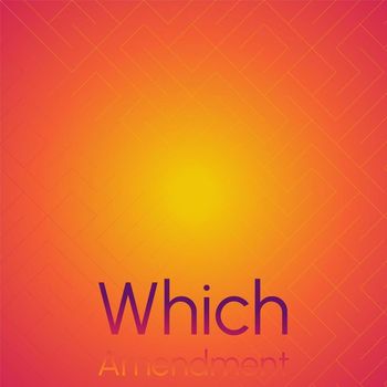 Various Artists - Which Amendment
