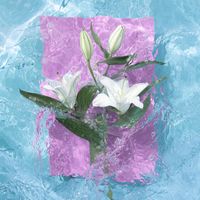 Gelka, Natalie Holmes - I've Seen You Dreaming