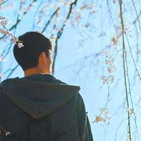 Peter Lee - Cherry White Blossom