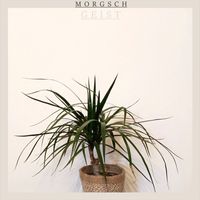 Morgsch - Geist
