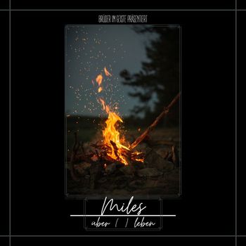 Various Artists - Über()Leben (Explicit)