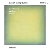 Danish String Quartet - Prism V