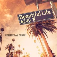 Remady - Beautiful Life