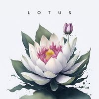 SoundAudio - Lotus