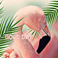 Flamingos - Good Day